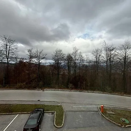 The Nest Of Gold Bjelasnica 公寓 *